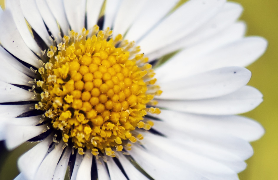 Blog entry with Video