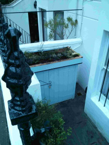 Green roof on bike shed