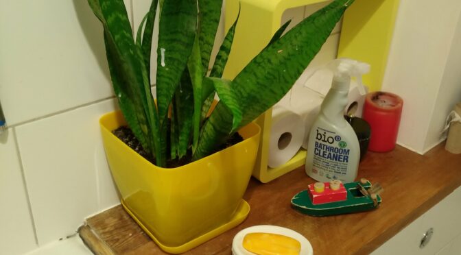 My Shabbihaus eco retrofit project part 3 ventilation & bathroom