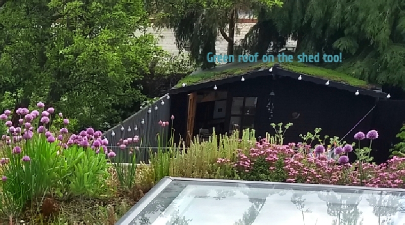 Green roof with flowers and skylight