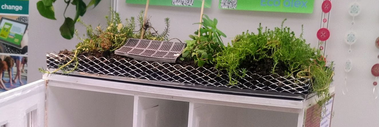 Making your home cosier and more efficient with Ecoalex